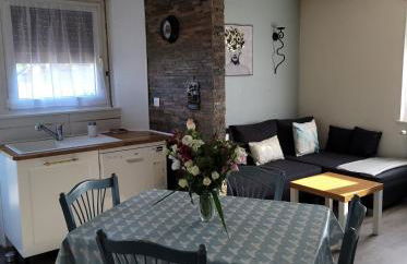 Appartement Au Cigogneau Wifi-Netflix-Balcon-Parking - Foto 4