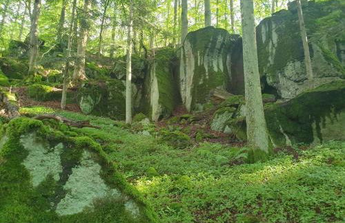 Ferienhaus Dreier-Ley - Foto 37