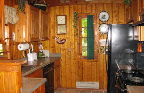 Lake Access! Twin Birch Resort - The Brown Bear - Foto 25