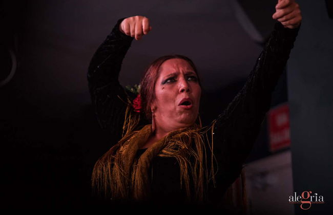 Espetáculo de flamenco no Alegría - Foto 13