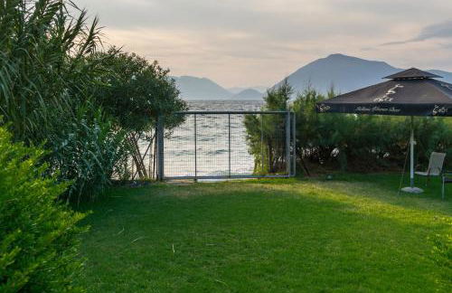 DH Epavlis - Photo 28