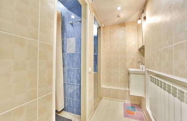 Apartment near St Isaac's Cathedral - Photo 7