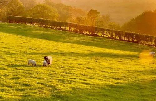 Eversfield - Foto 51