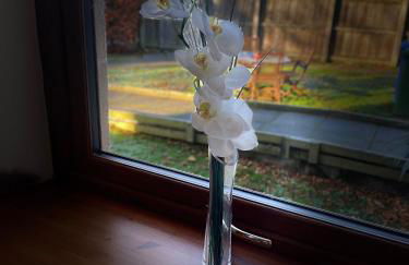 Glenfiddich - Foto 7