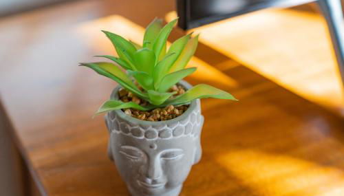 Sabina Ferienhaus - Foto 5