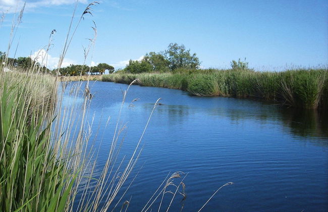 Apartment in Ghisonaccia Near Sandy Beach - Foto 31