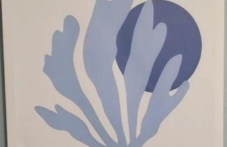 Studio Matisse - Foto 11