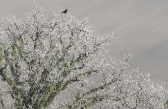 Reethus Stöfs - Foto 14