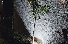 Recanto das Neves - Foto 7