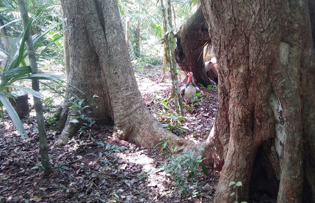 Hotel y Temazcal en Solferino - Foto 50