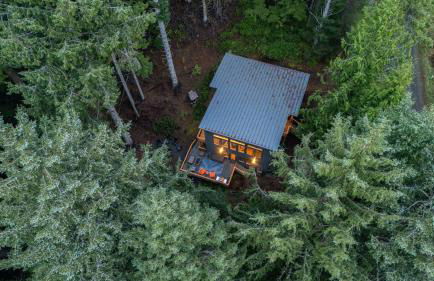 Peaceful Treehouse-Style Stay with Sauna Fire Pit Forest Views Near the Coast The Treehouse by AvantStay - Foto 43