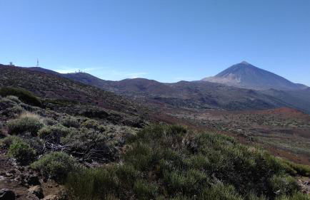 Suite Bufadero - Foto 29