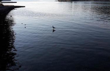 Blue Harbour No. 15 - Foto 33