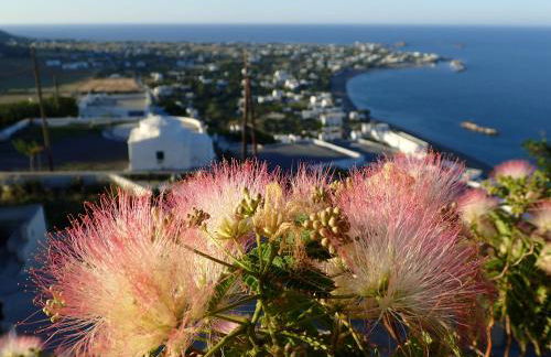 Eastern Wind Home - Foto 1