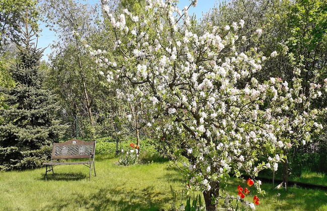 Holiday Homes in the Bad Saarow Castle Park, Bad Saarow - Foto 74