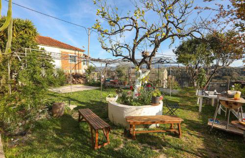 Nuvola Verde - Foto 4