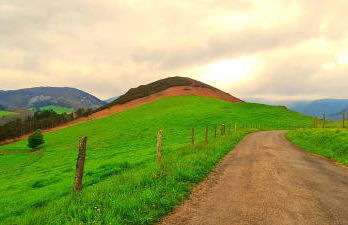 Apartamentos Rurales El Bosque de las Viñas - Photo 80