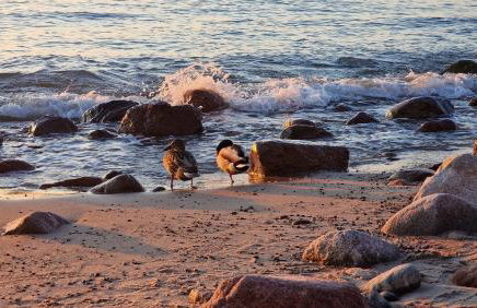 Apartamenty Róża Wiatrów 45B z dużym tarasem - Foto 25