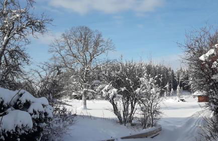 Bernwieserhof - Foto 36