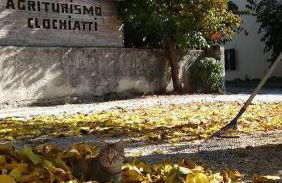 Agriturismo Clochiatti - Foto 4