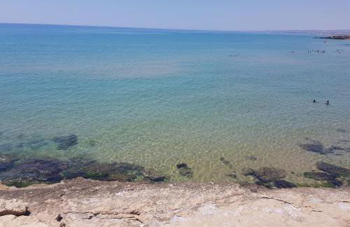 Maredaliga - Photo 35