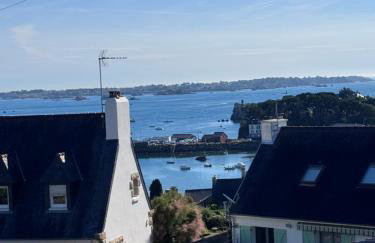 TY LOUIS Au dessus du port & de la plage de Loguivy - Foto 10