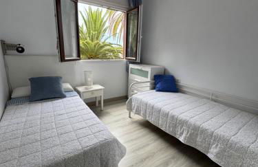 Phoenix Canariensis - Foto 16