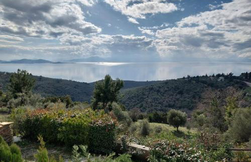 Panorama Studio Afetes - Photo 13