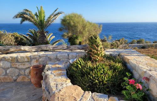 Akrogiali studios - Photo 56