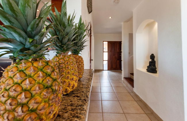 Ocean-view Villa Above Potrero Overlooking two Bays - Photo 40