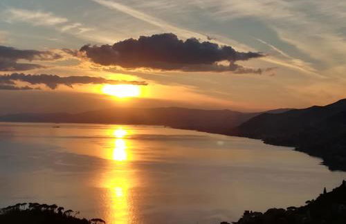 La casa di sotto by PortofinoVacanze - Foto 24