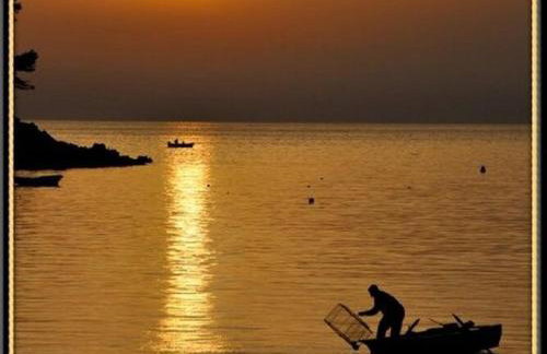 Apartment Danijela Mljet - Studio Apartment With Balcony and Sea View - Foto 26