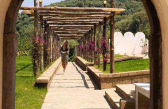 Tenuta Sirignano - Photo 10