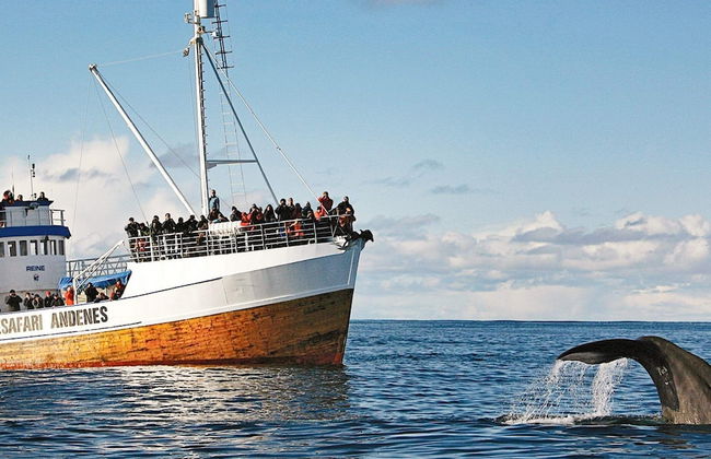 5 Person Holiday Home in Melbu-by Traum - Foto 8