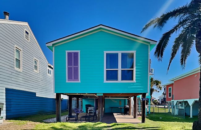 Blue Curlew - Photo 1