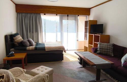 Sonniges Apartment am Kurpark mit direktem Blick auf die Ebernburg - Foto 8