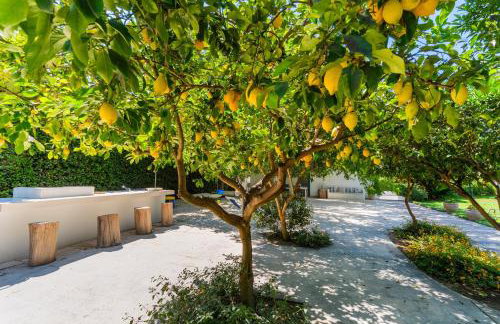 Villetta Le More in Salento - Photo 21