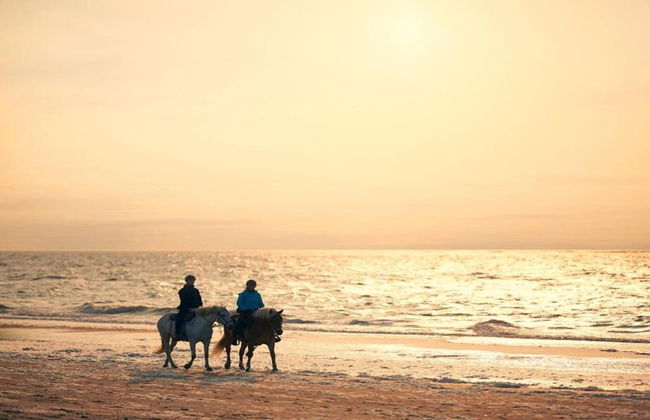 Spacious Holiday Home in Renesse near North Sea - Photo 33