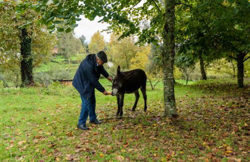 Casa da Eira "Lavoura da Bouça - Fruta Bio" - Foto 64