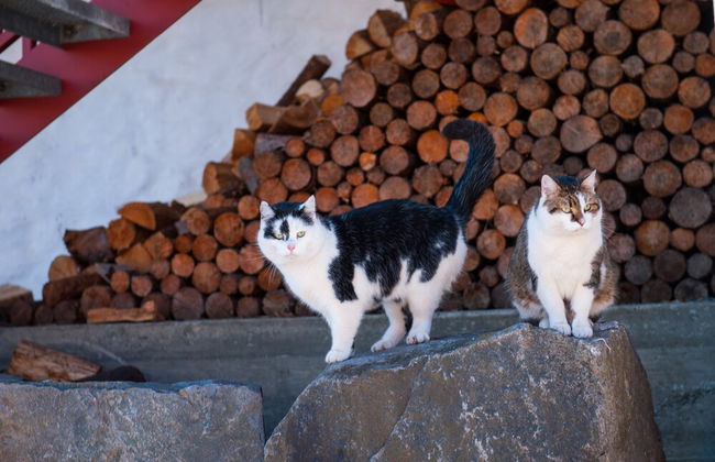 Helgaker Gård - Foto 43