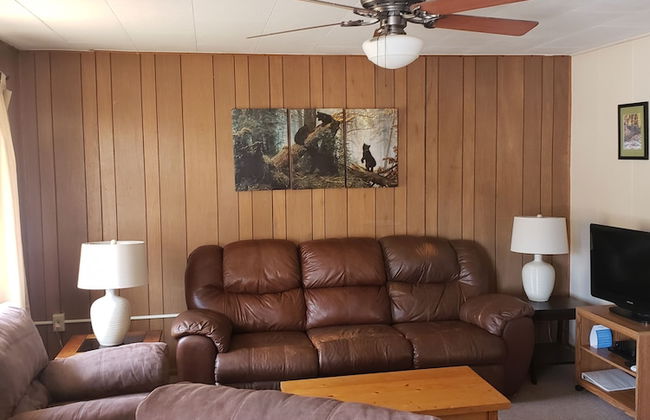 lazy bear cabins - Foto 40