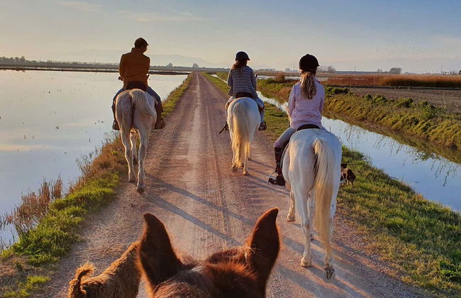 Passeggiata a cavallo al Delta dell'Ebro - Foto 6