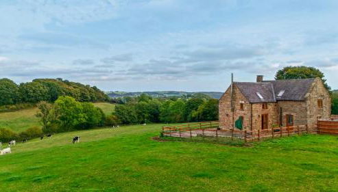 Lane Head Cottage - Foto 4
