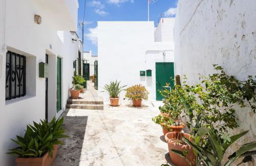 Live Arico El Mirador - Foto 27