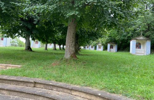 Gîte au Pied du Bischenberg - Foto 37