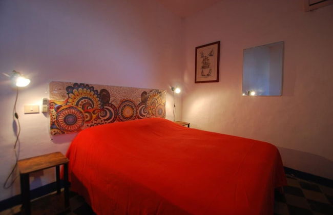 Cannella Studio - Foto 4