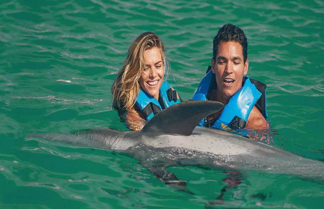 Delfin-Begegnung in Puerto Aventuras - Foto 3