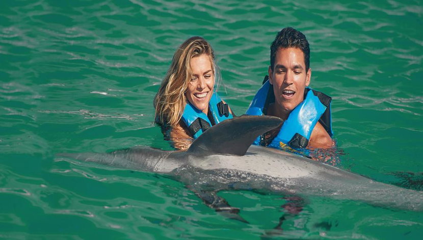 Encuentro con delfines en Puerto Aventuras - Foto 3