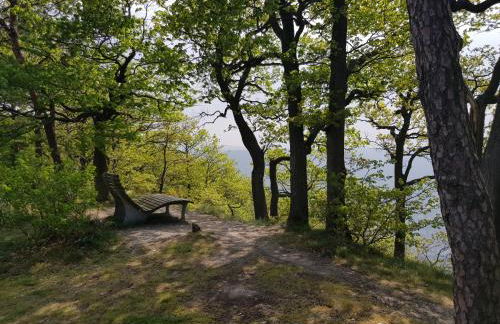 Apartment an der Mosel 1 - Foto 33