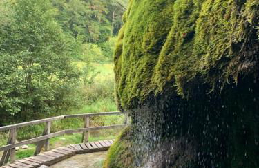 Ferienhaus Backesgarten für 22 Personen - Foto 49
